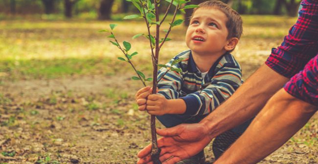 conserve-environment