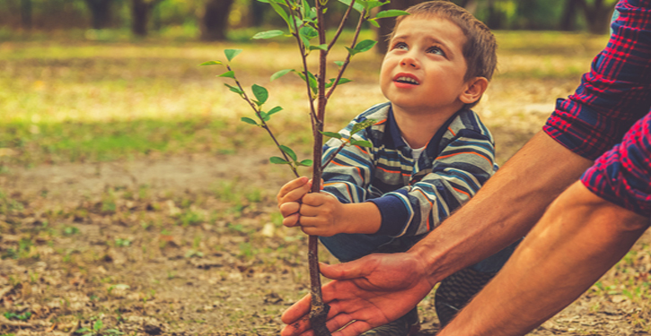 conserve-environment