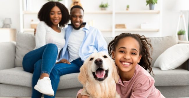 5-tips-for-new-pet-owners