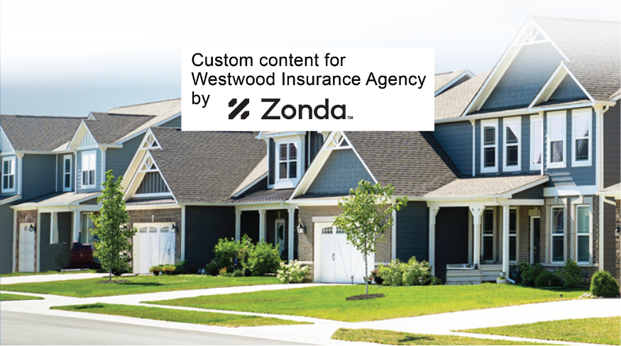 Zonda "A Stability Strategy for a Difficult Home Insurance Market"